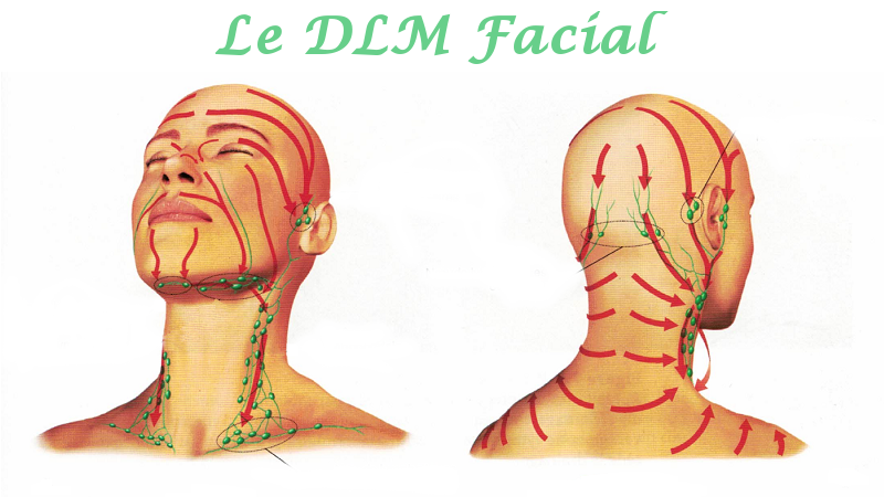 Massage et Drainage Lymphatique Manuel - Le DLM Facial